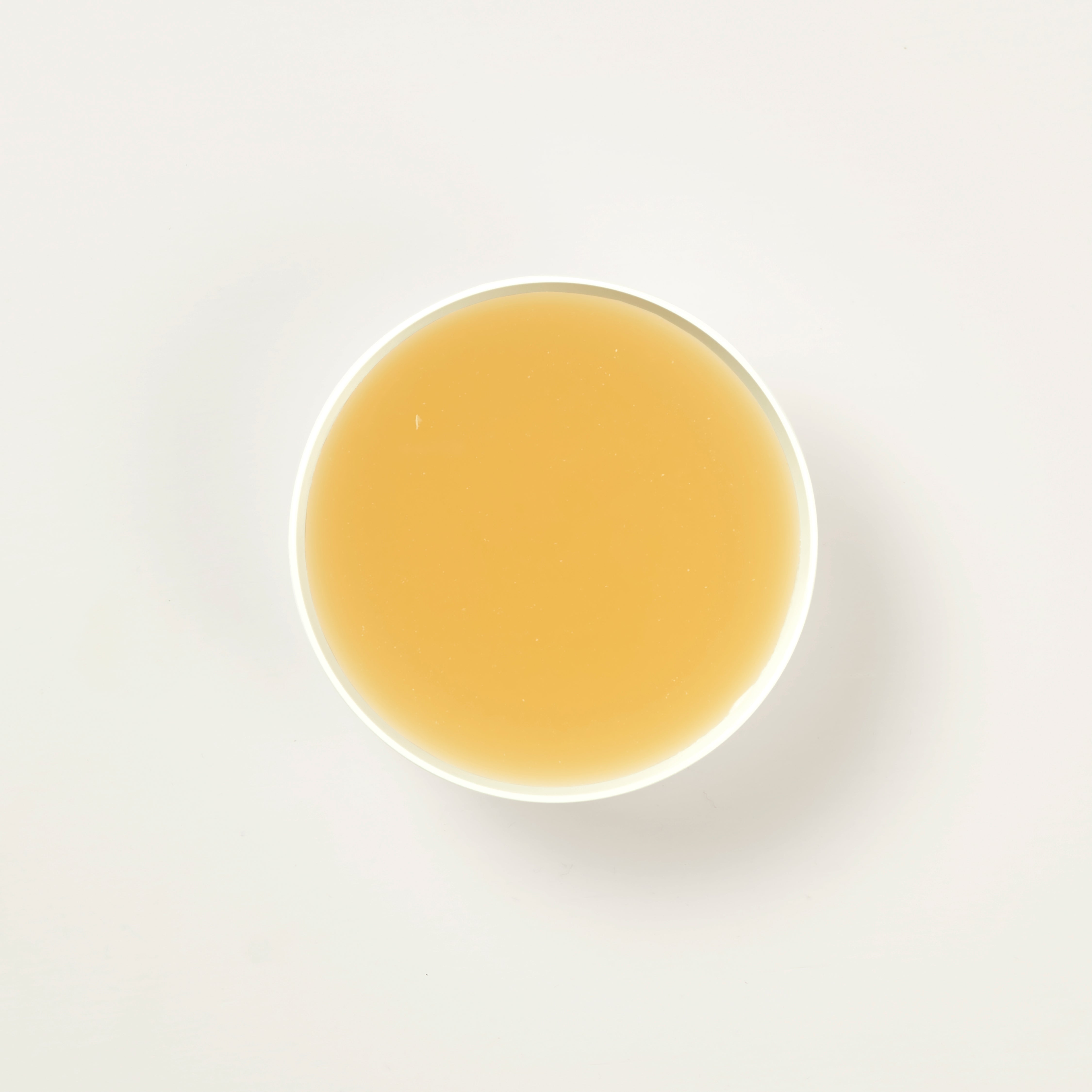 24-Hour Bone Broth