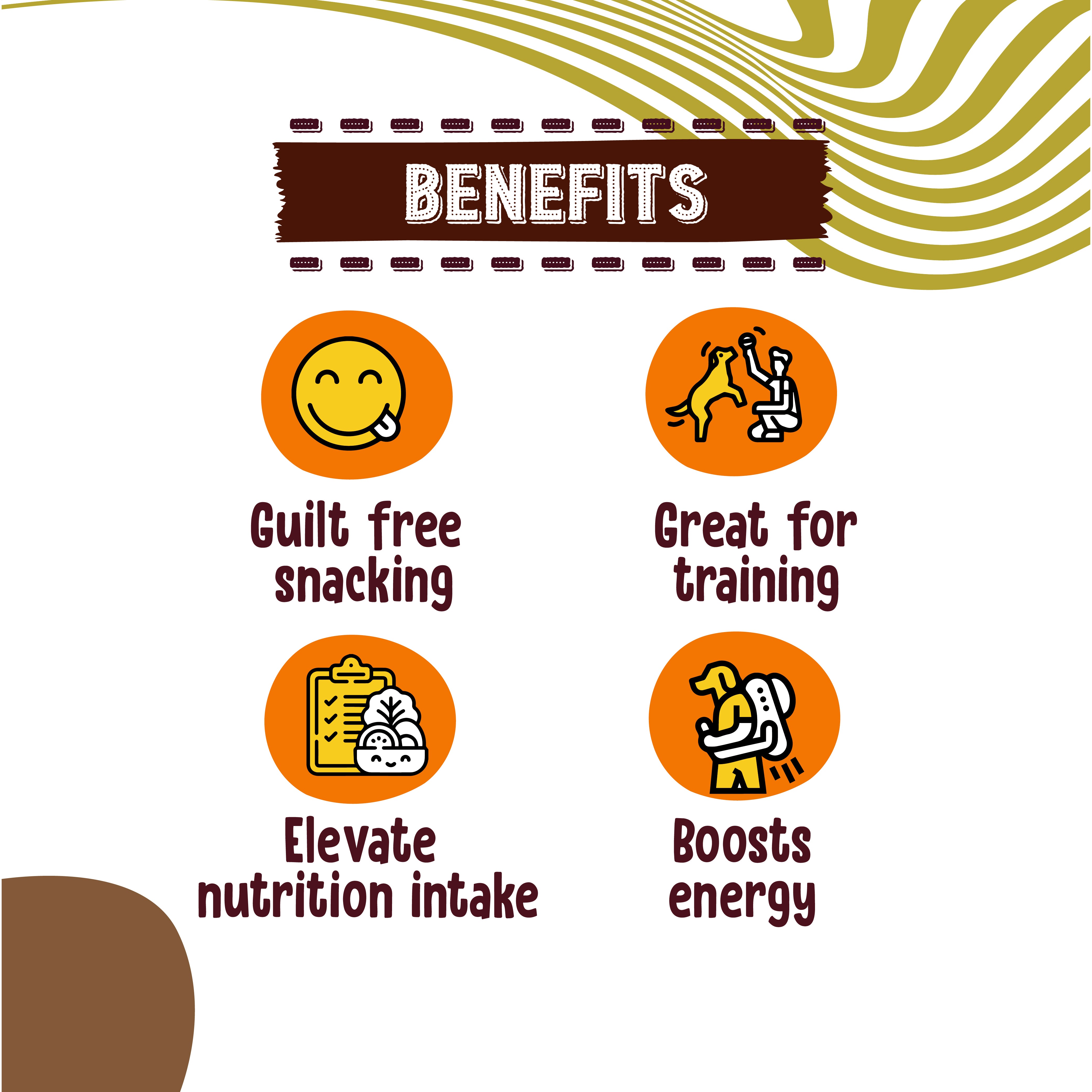 Chicken Jerky (Coconut)