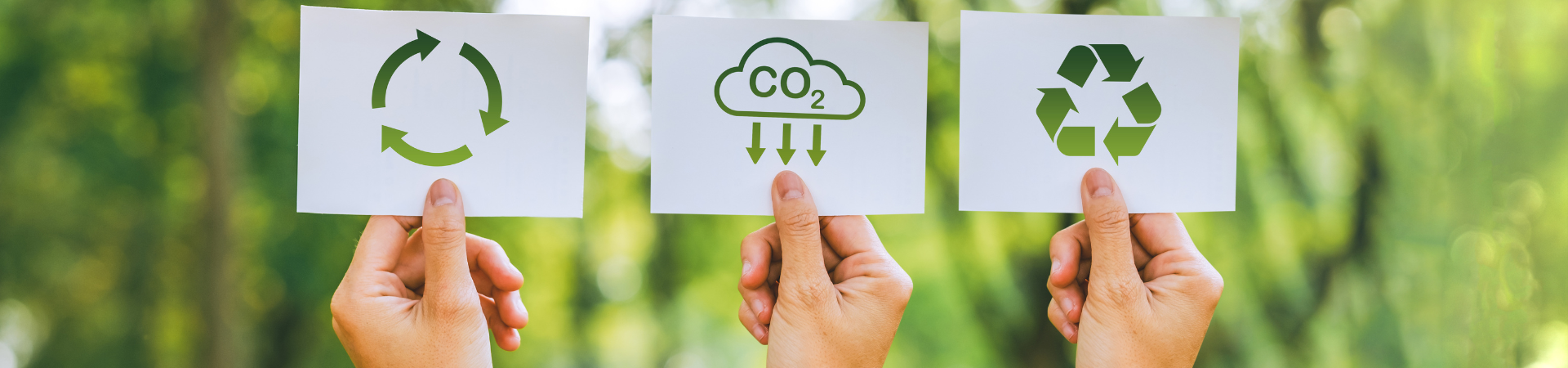 Why Fresh Pet Food Is Better For The Environment