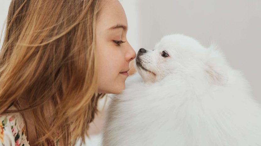 Best Foods for Healthy Skin and Coat in Dogs: To Make your Furry Friend Both Glow and Grow